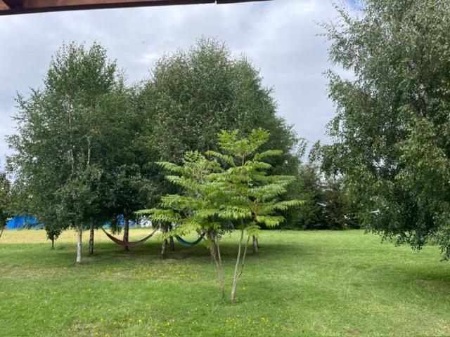 Cabaña Lago Puyehue - Two-Bedroom House - 2