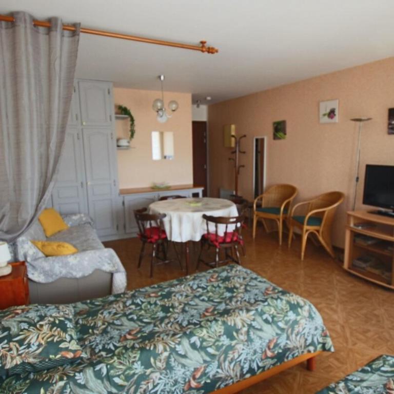 Appartement T1 29 m2 lumineux Vue lac garage - Appartamento con 1 Camera da Letto - 20