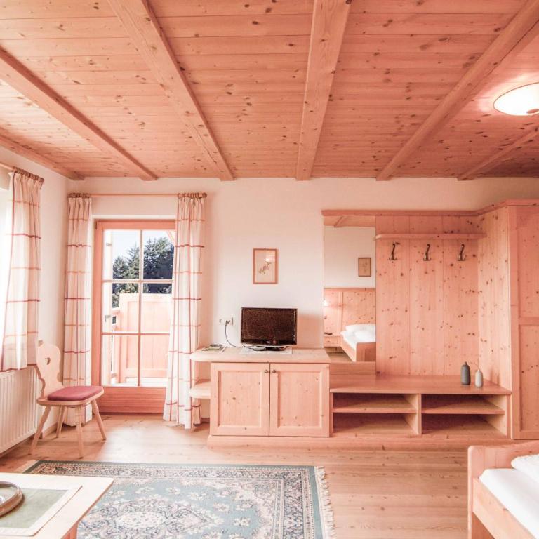 Berggasthof Messnerhof - Suite Junior con Vista Montagna - 1