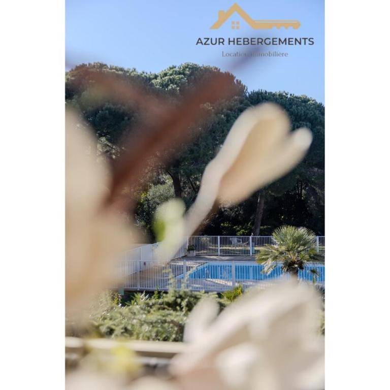 Antibes, chemin de Vallauris, Appartement 4 personnes piscine parking - Apartamento de 2 dormitorios - 10
