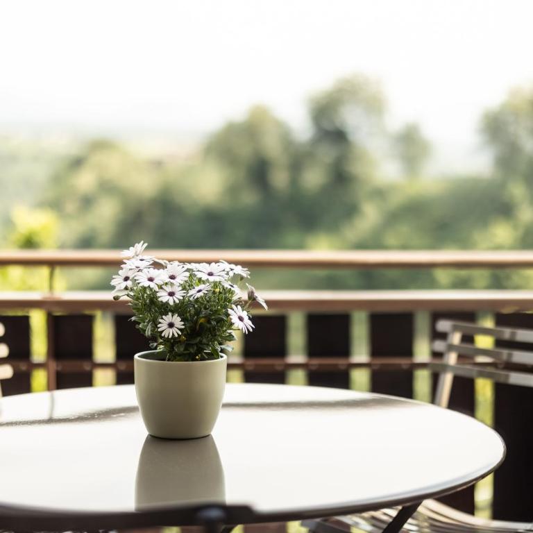 Leitnhof - Appartamento Deluxe con 2 Camere da Letto e Balcone - 19