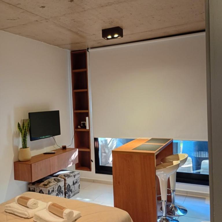 Loft moderno con balcón y luz natural - La Plata - Estudio Estándar - 15