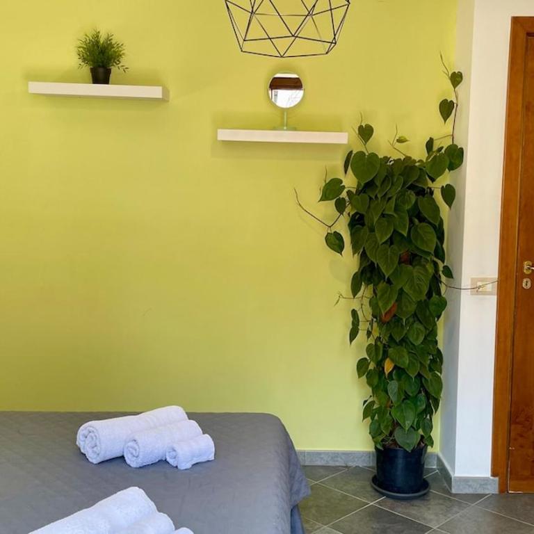 Khalisa Home - Apartment - 8