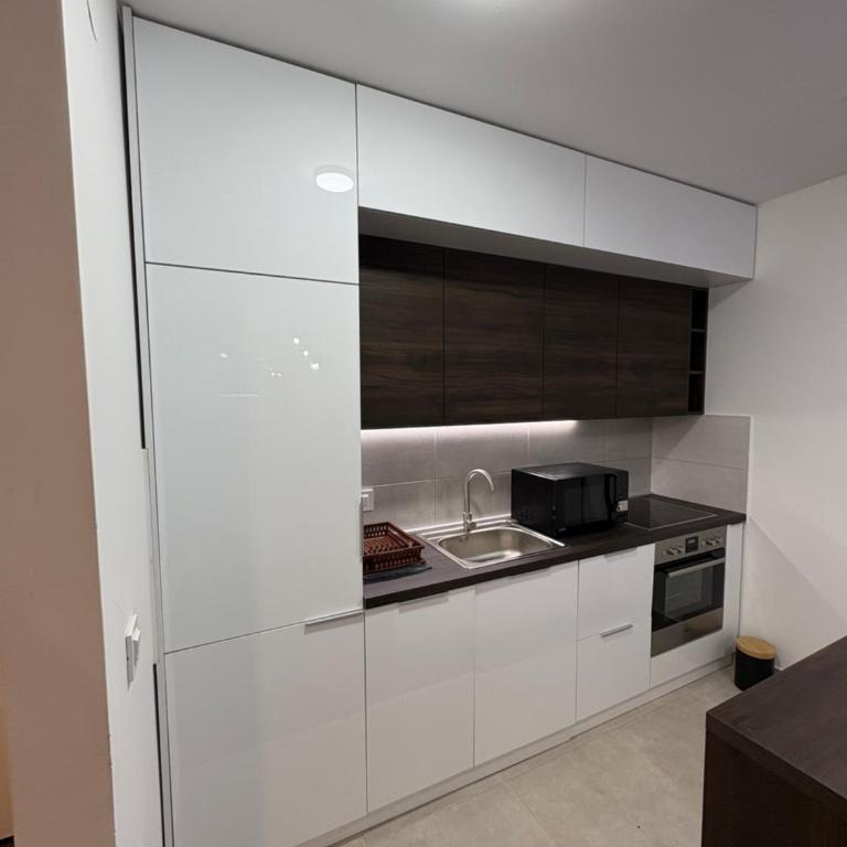 Tesla Residence - One-Bedroom Apartment - 4