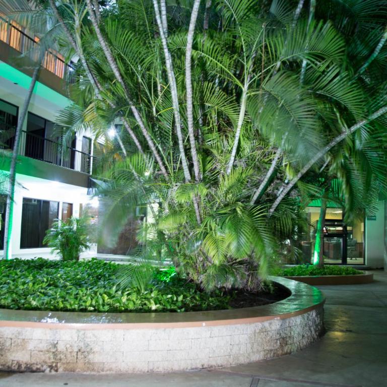 Hotel Ambassador Mérida - Habitación Doble - 10