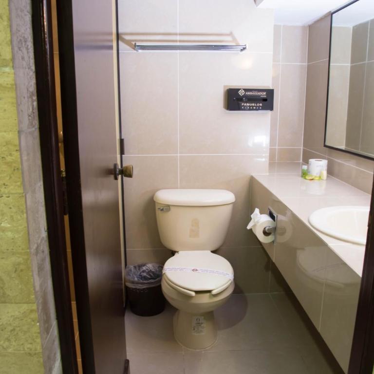 Hotel Ambassador Mérida - Habitación Doble - 15