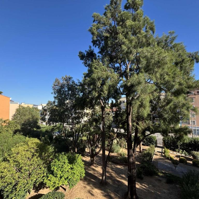 CA900-020 APPARTEMENT 2 PIECES 4 Personnes A CAVALAIRE SUR MER - Appartement - Vue sur Jardin - 12
