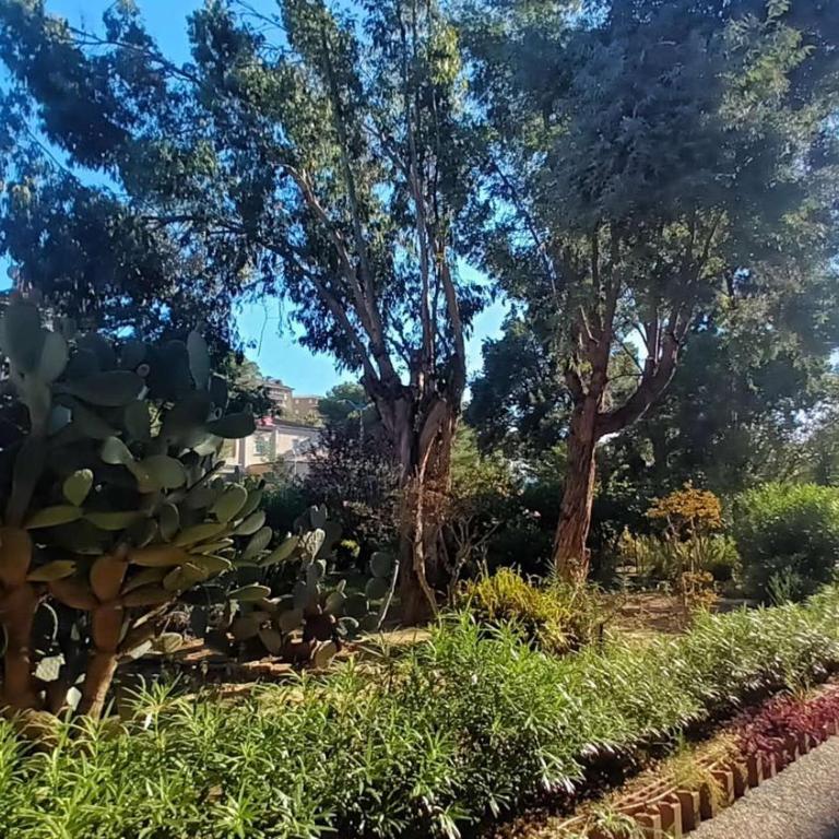 CA900-020 APPARTEMENT 2 PIECES 4 Personnes A CAVALAIRE SUR MER - Appartement - Vue sur Jardin - 15
