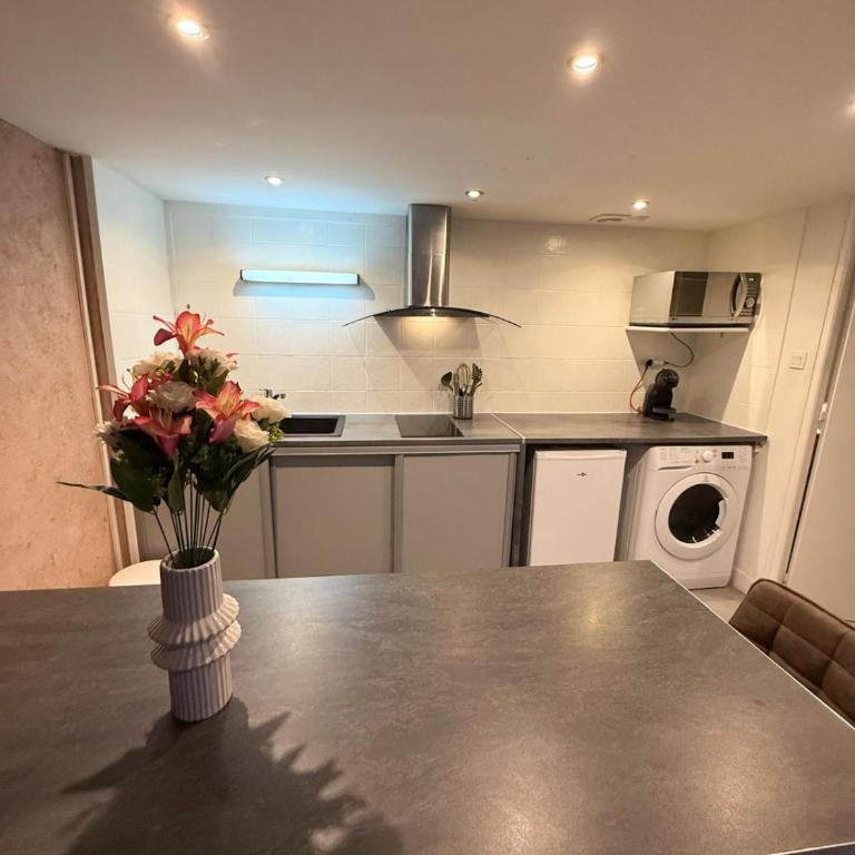 Bourgelat 1 1 Bedroom Bellecour - Appartement 2 Chambres - 12