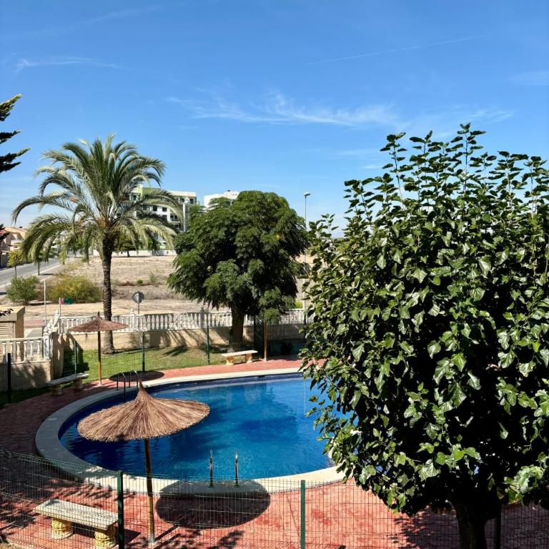 Mil Palmeras Apartament Green Palmeras - Apartamento de 1 dormitorio - 6