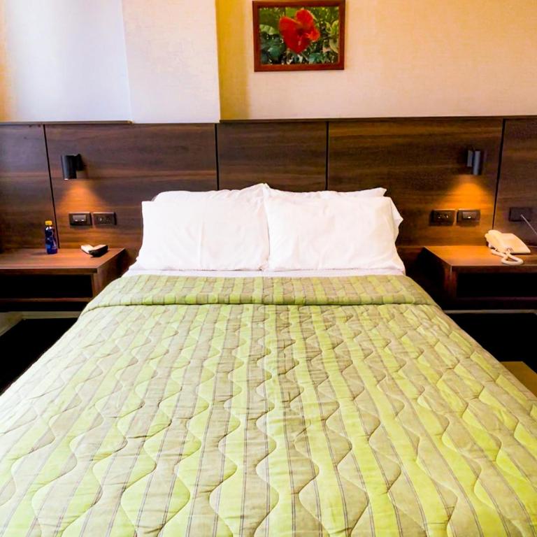 Hotel Delfin Rosado - Deluxe Single Room - 1