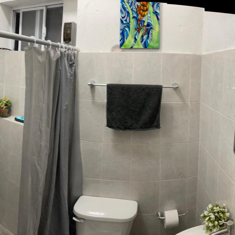 Apartment in Mérida Centro - One-Bedroom Apartment - 5