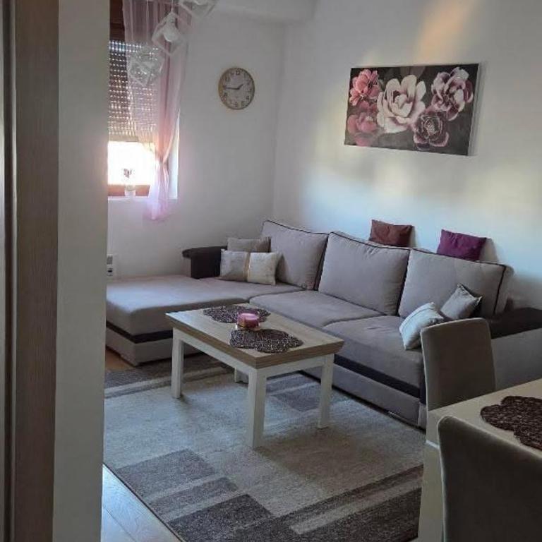 Vila Katalina Zlatibor - Apartman Marijana - Apartman sa 1 Spavaćom Sobom - 8