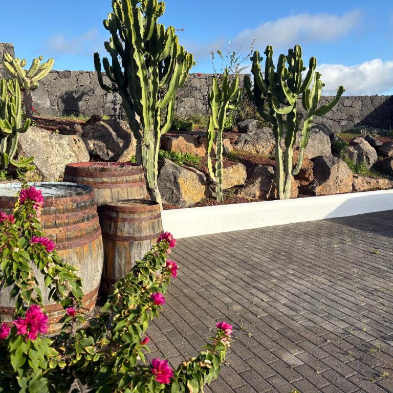 Villa Blanco villa privada con patio soleado y BBQ ideal para escapada romántica en Lanzarote - Villa de 1 dormitorio - 12