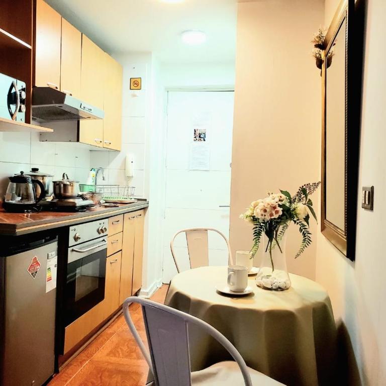 1Centro histórico, salida Metro Santa Lucía Clínica Católica - One-Bedroom Apartment - 6