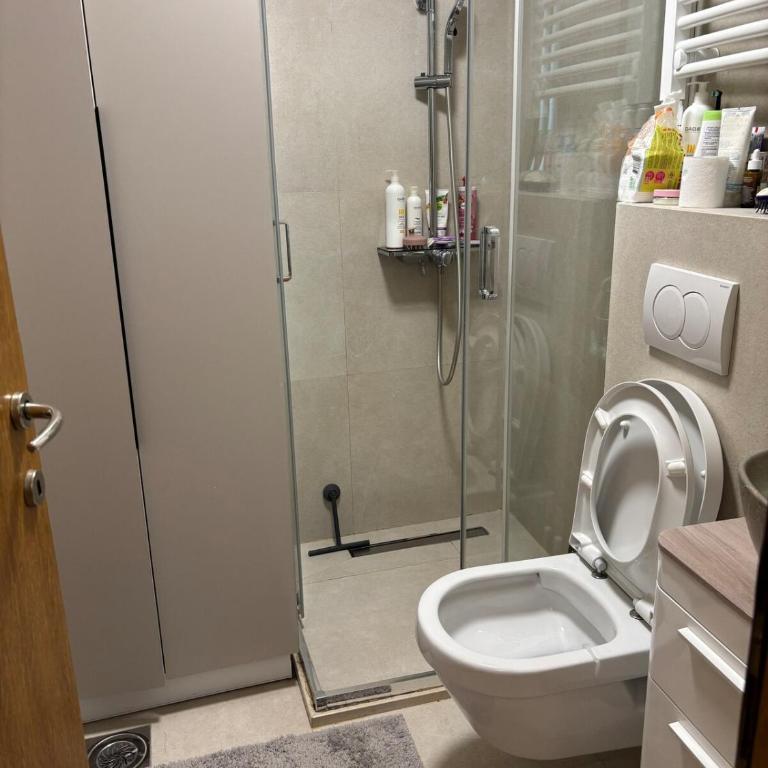 Modern apartment plus FREE parking , near city center, shopping center Big and city quarter - Apartman sa 1 Spavaćom Sobom - 3