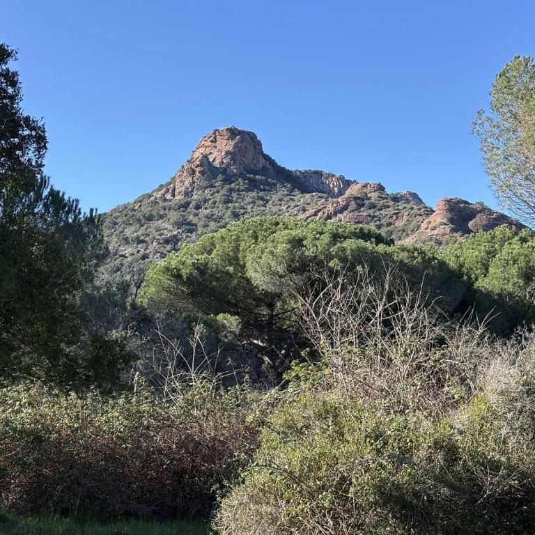 Appartement 2 pièces avec terrasse et parking à Roquebrune-sur-Argens - Apartamento de 1 dormitorio - 19
