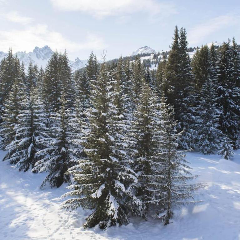 Charming Ski Apartment in Courchevel 1850 - Apartment - 14