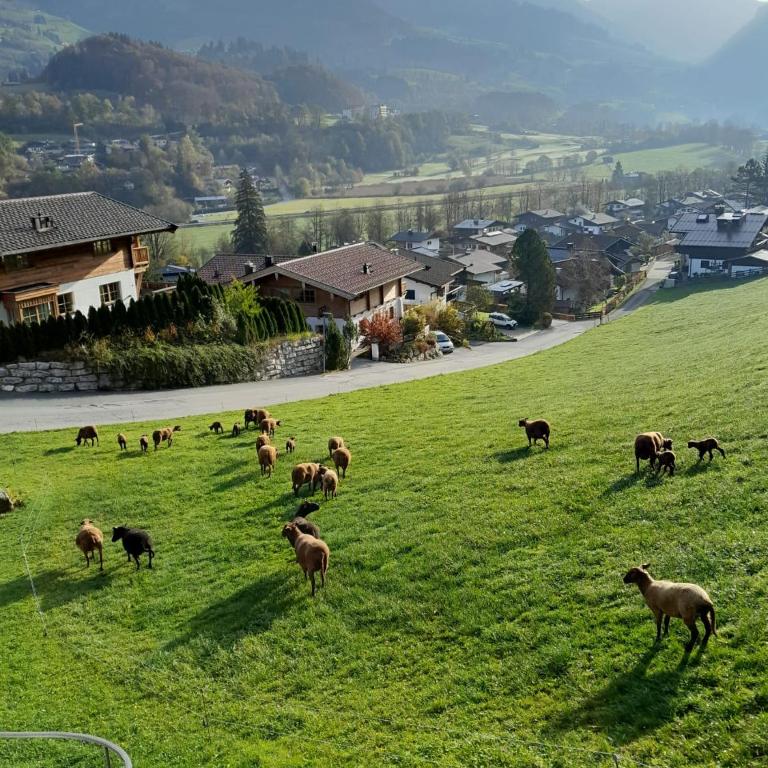 Ferienhof Oberstaudach - Studio with Mountain View - 23