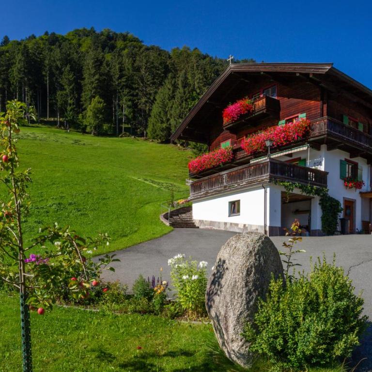 Ferienhof Oberstaudach - Studio with Mountain View - 39