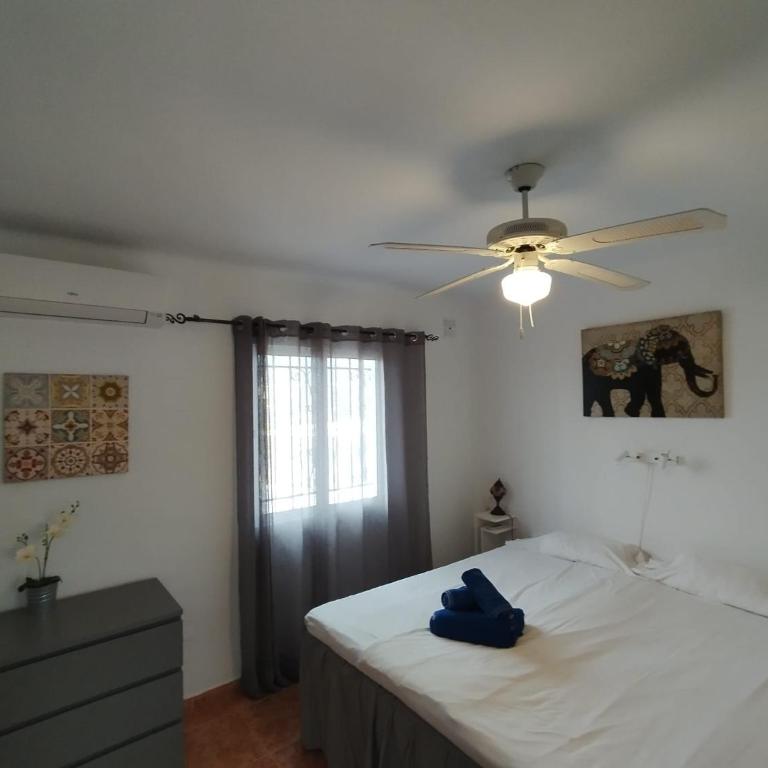 Casa Limon - Casa - 28