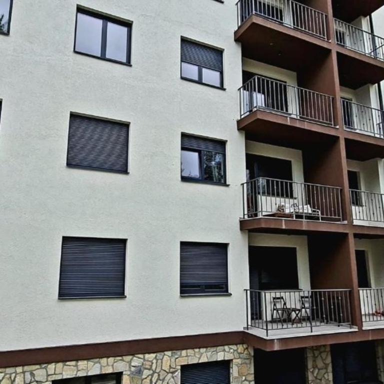 Zlatibor 1 - One-Bedroom Apartment - 22