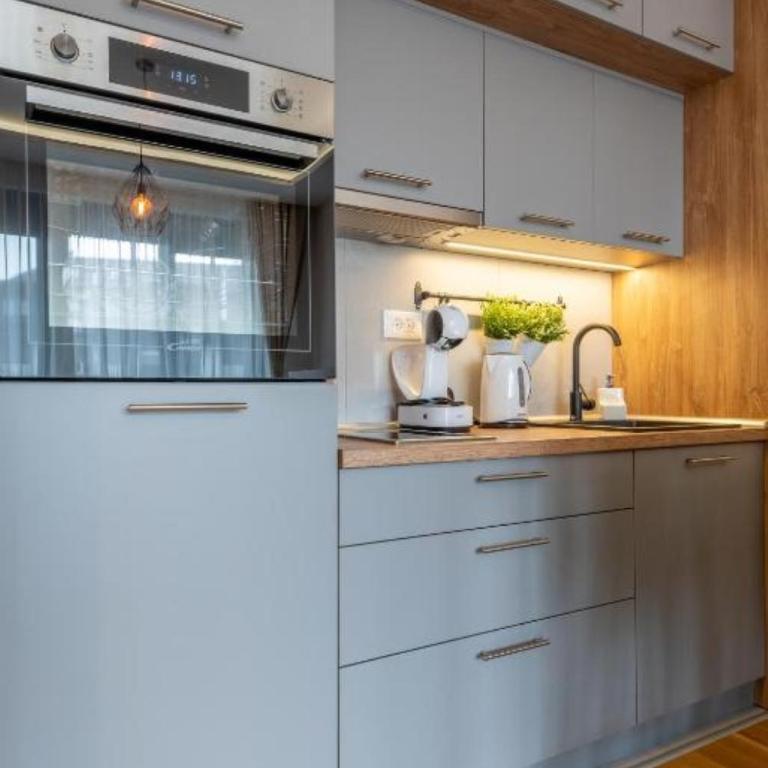 Zlatibor 1 - One-Bedroom Apartment - 30