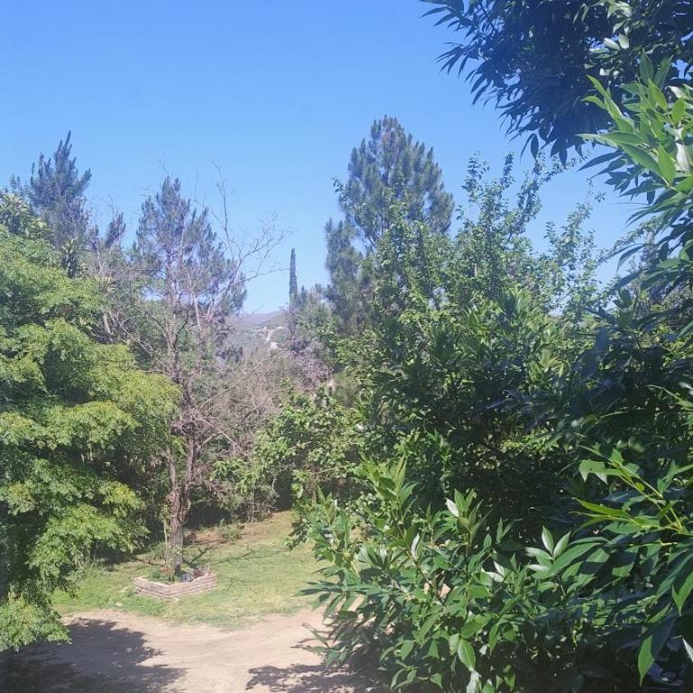 Mirador Sierras - One-Bedroom Apartment with Garden View - 12