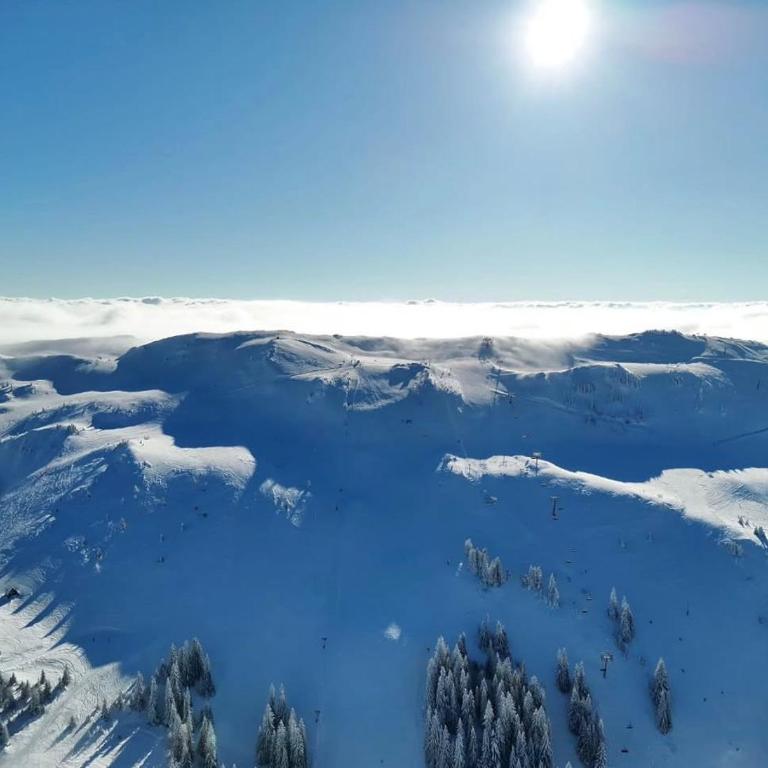 Prestige Lux Andan - Apart hotel Horizont Jahorina - Two-Bedroom Apartment with View - 35