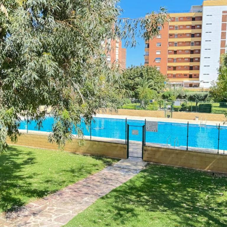 Sunny beach Poniente - Apartamento de 1 dormitorio - 3