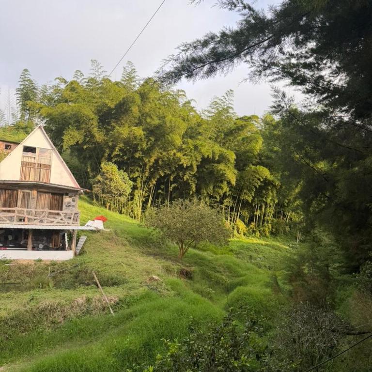 Entre pinos - Chalet - 19