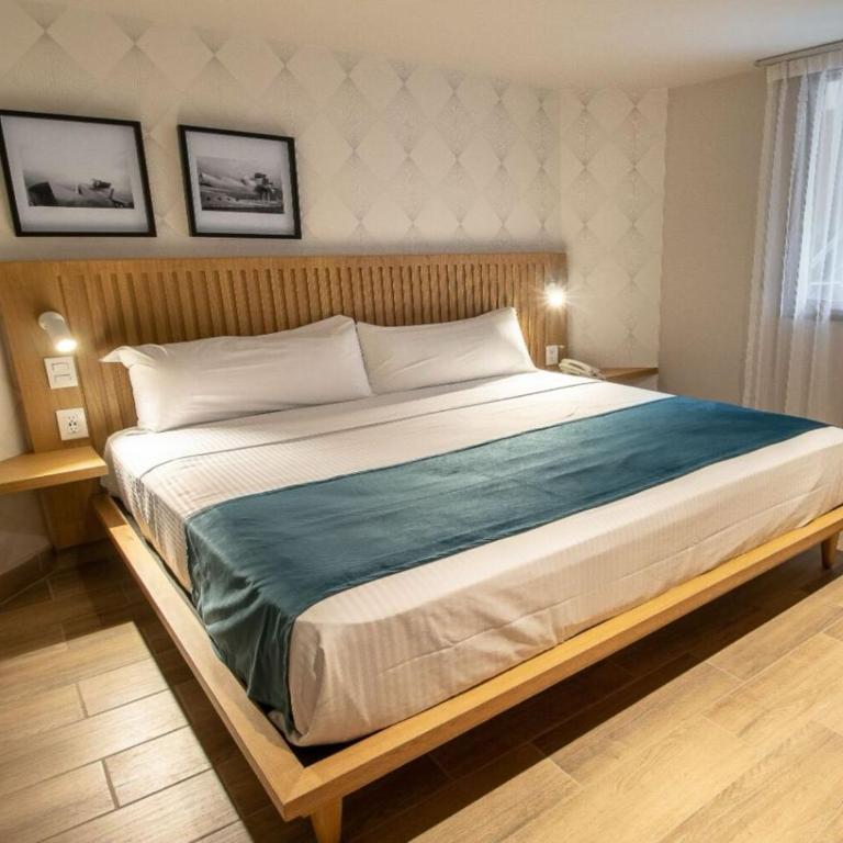 Oliva Plaza Hotel - Habitación Ejecutiva - 1