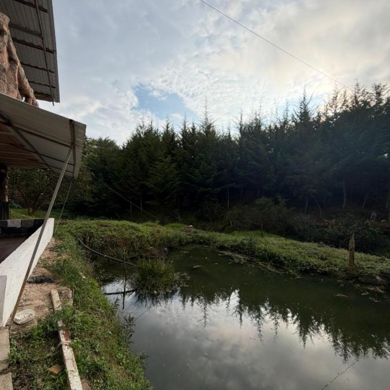 Entre pinos - Chalet - 23