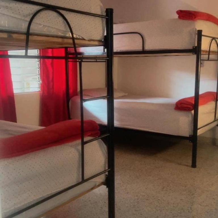 Abba Hostal - Bed in 6-Bed Female Dormitory Room - 2