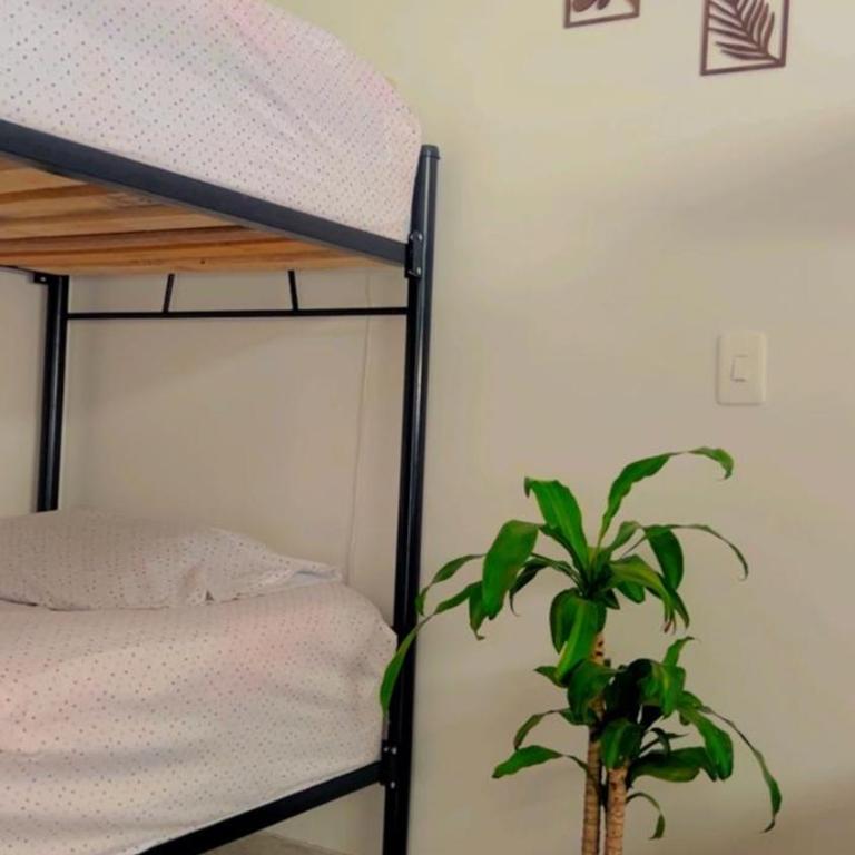 Abba Hostal - Single Bed in Male Dormitory Room - 3