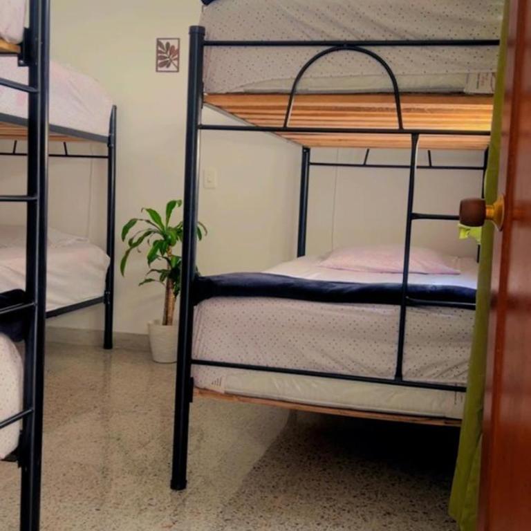 Abba Hostal - Single Bed in Male Dormitory Room - 1