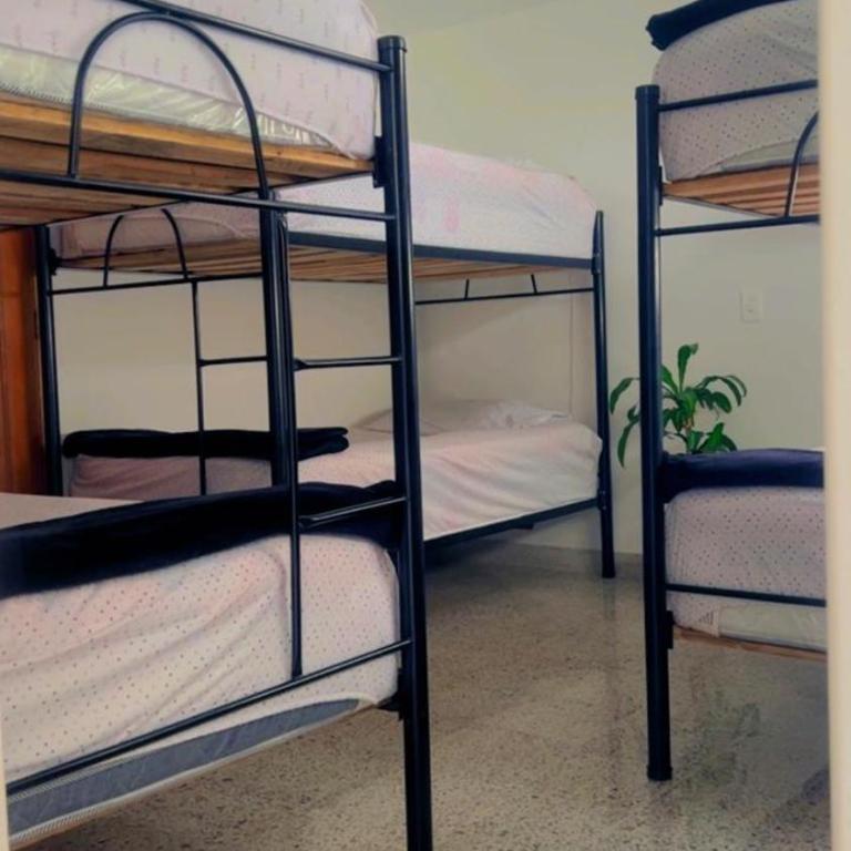 Abba Hostal - Single Bed in Male Dormitory Room - 2