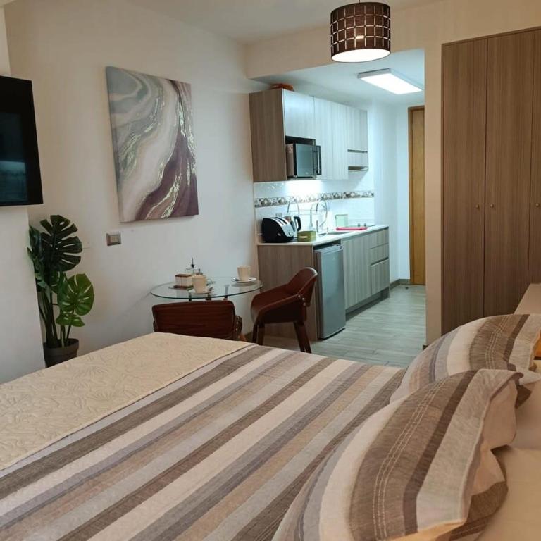 HOM I Studio Av Balmaceda I Wifi I Frente al Mall I PNB 0718 - Apartment - 20