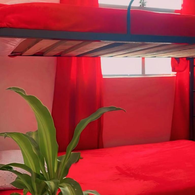 Abba Hostal - Bed in 6-Bed Female Dormitory Room - 3
