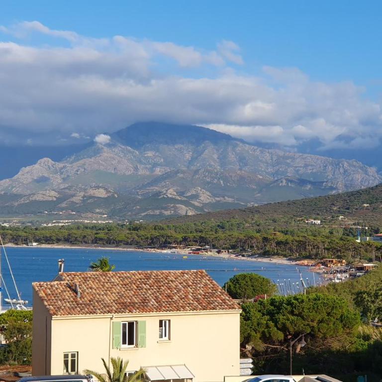 Studio vue mer proche du port - Appartement 1 Chambre - 1