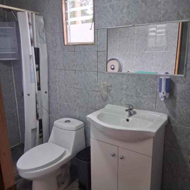 Cabaña Villarrica camino Lican Ray - Casa de 2 dormitorios - 14