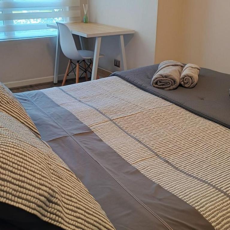 Cómodo y central departamento en Talca, barrio Oriente - Two-Bedroom Apartment - 31