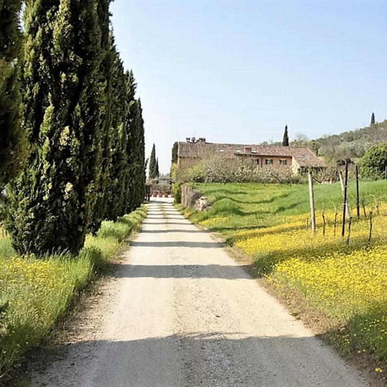 Villa Avesa - Villa - 30