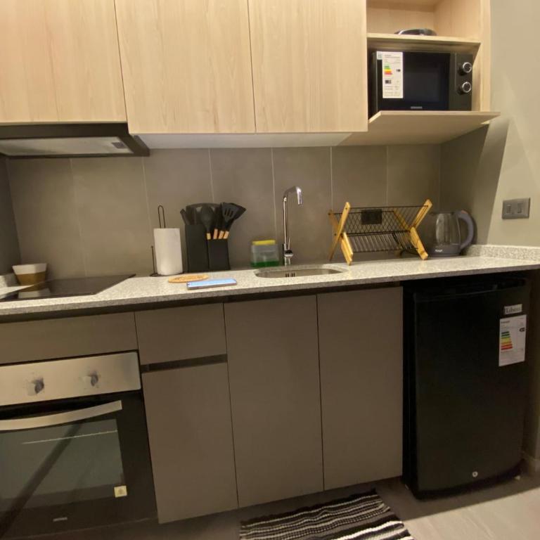 Departamentos a pasos del Movistar Arena y Parque O'Higgins - One-Bedroom Apartment - 12