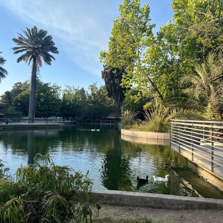 Estudio con aire acondicionado en Parque Quinta Normal - One-Bedroom Apartment - 4