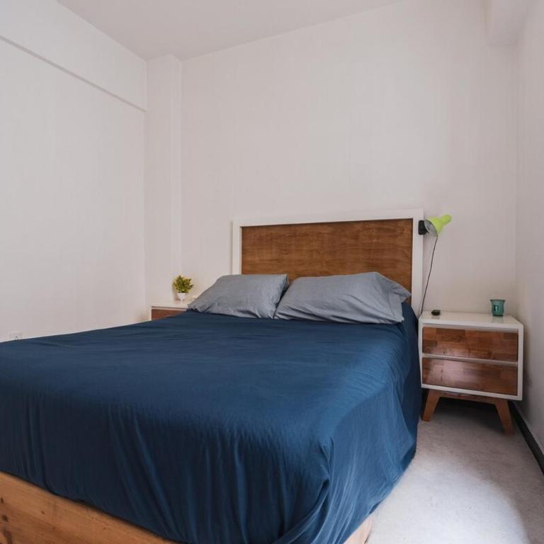 Private & comfortable room in Polanco - One-Bedroom Apartment - 7