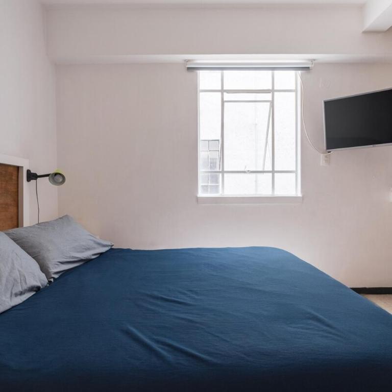 Private & comfortable room in Polanco - One-Bedroom Apartment - 9