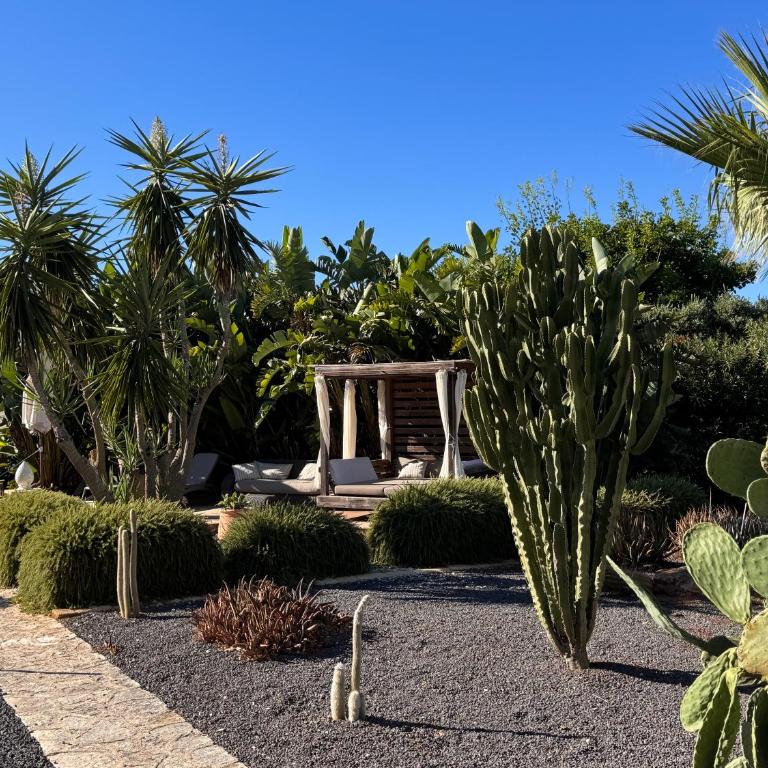 Casa Armonia - Villa con 2 Camere da Letto - 14