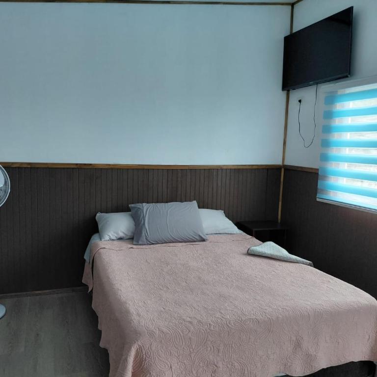 Cabaña a 800 metros del centro de cunco - One-Bedroom House - 6