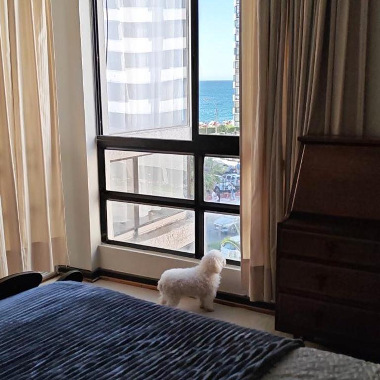 Viña dp Maravillosa VISTA, plena Av San Martín frente Playa Acapulco - Three-Bedroom Apartment - 19